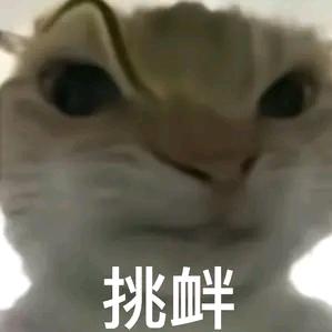 吱嘛蒋