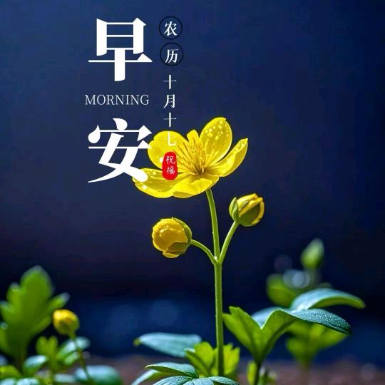 🍒温ღ᭄文🍎嘶࿐🚩雅🍓🍇🍉?