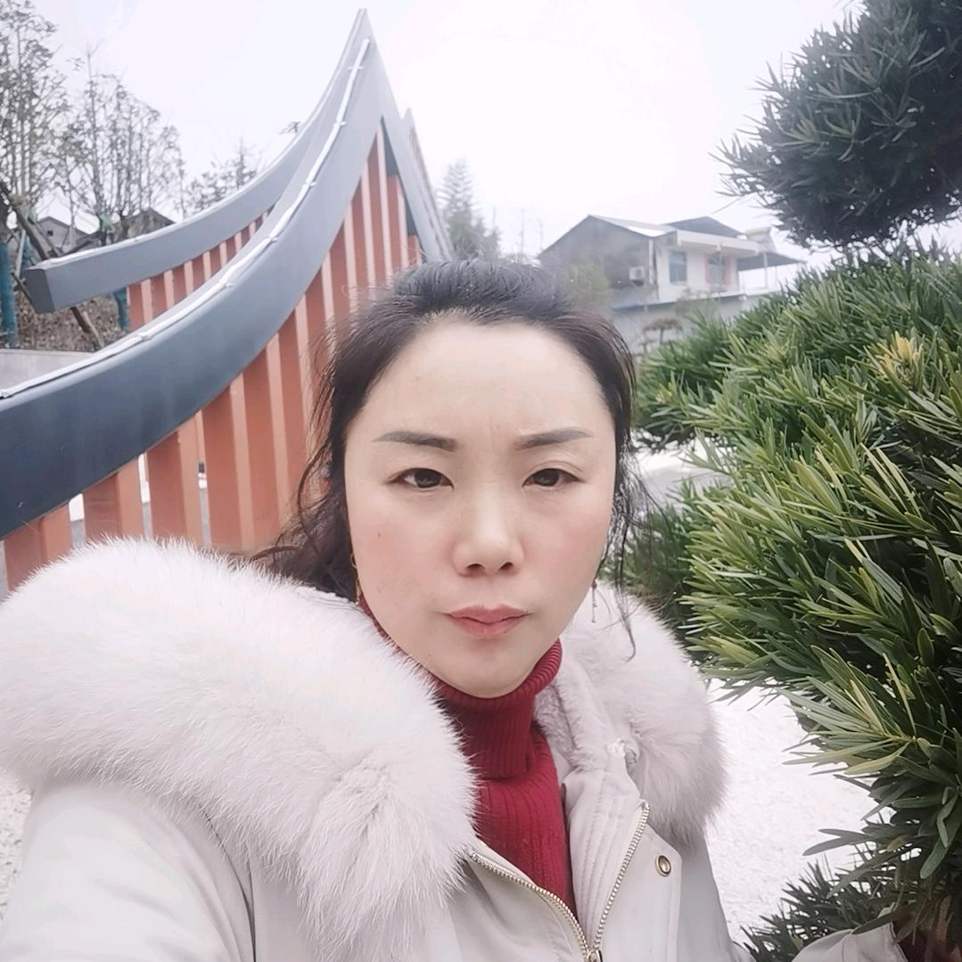 竹林优选