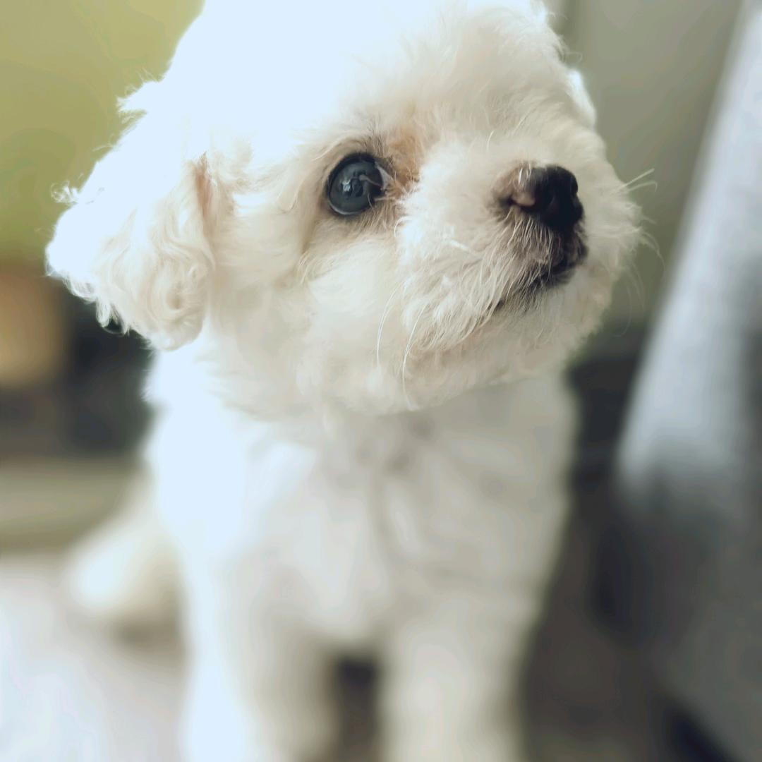 WL未来可期（○゜ε＾○）