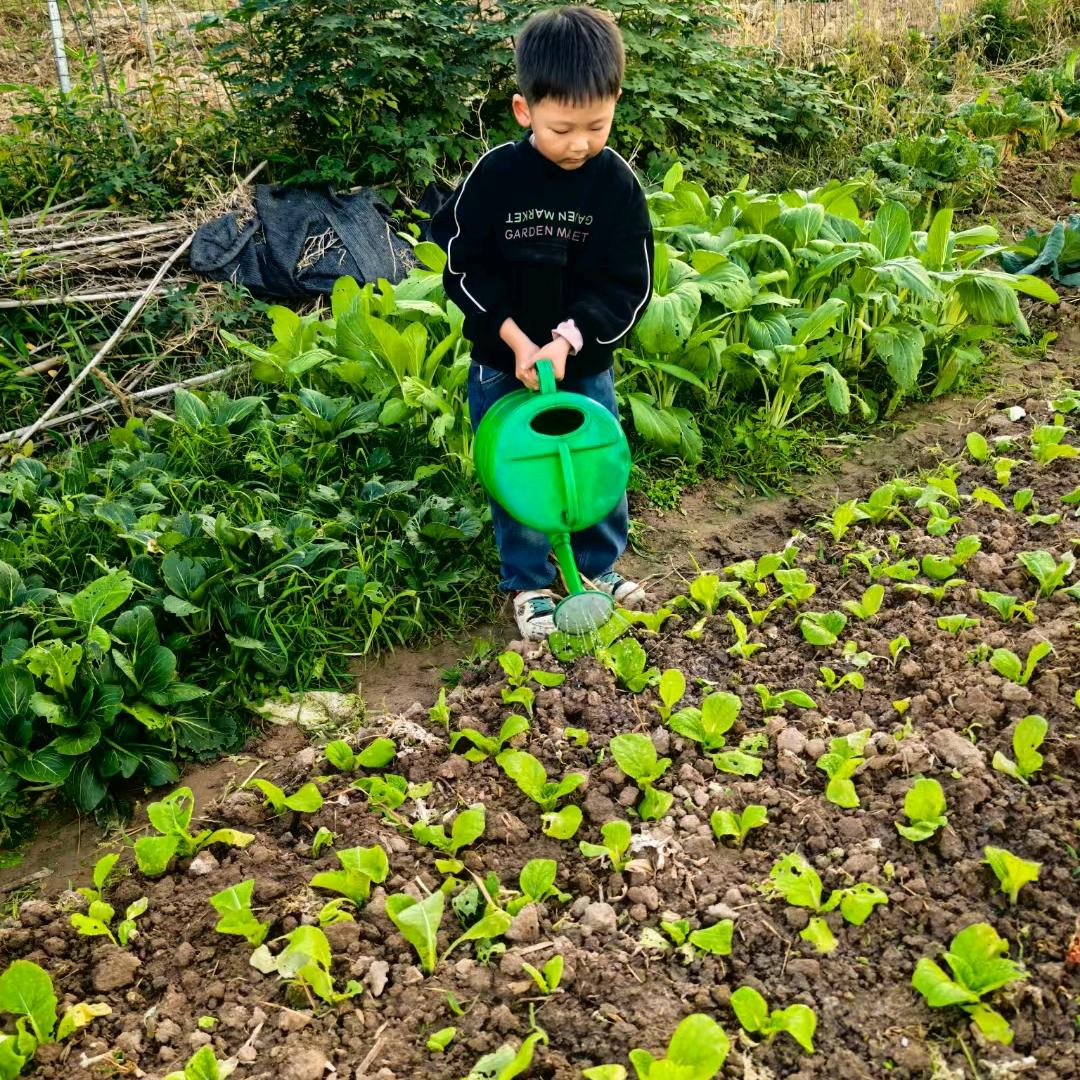 冬天的梅🌺