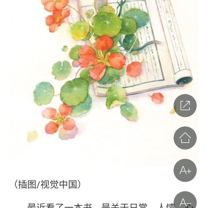 百合花