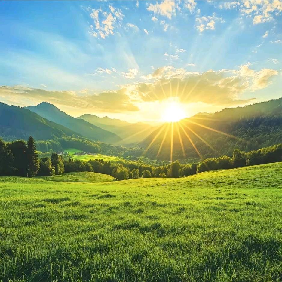 小张先生🇨🇳