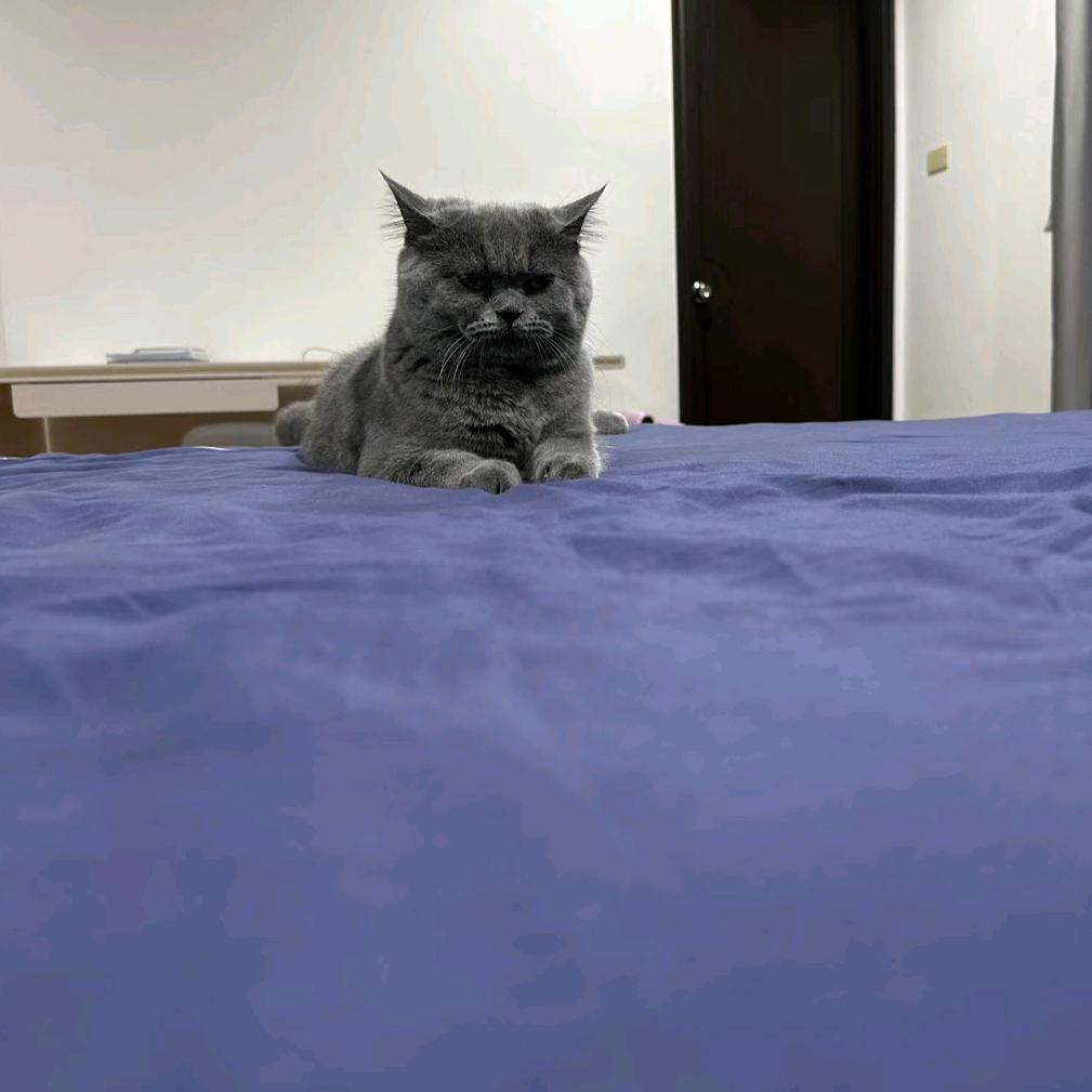 拉面