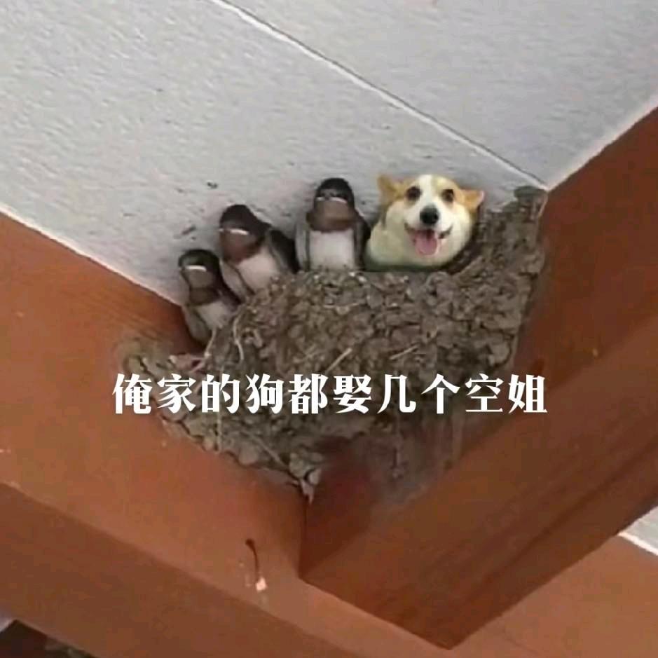 嗨嗨人生