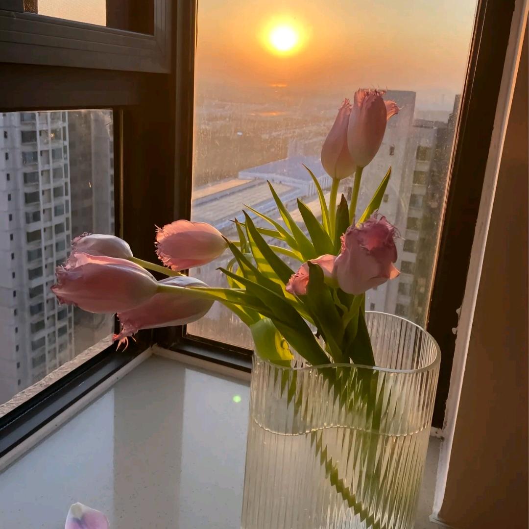 ღ未来可期ꦿᝰ᭄