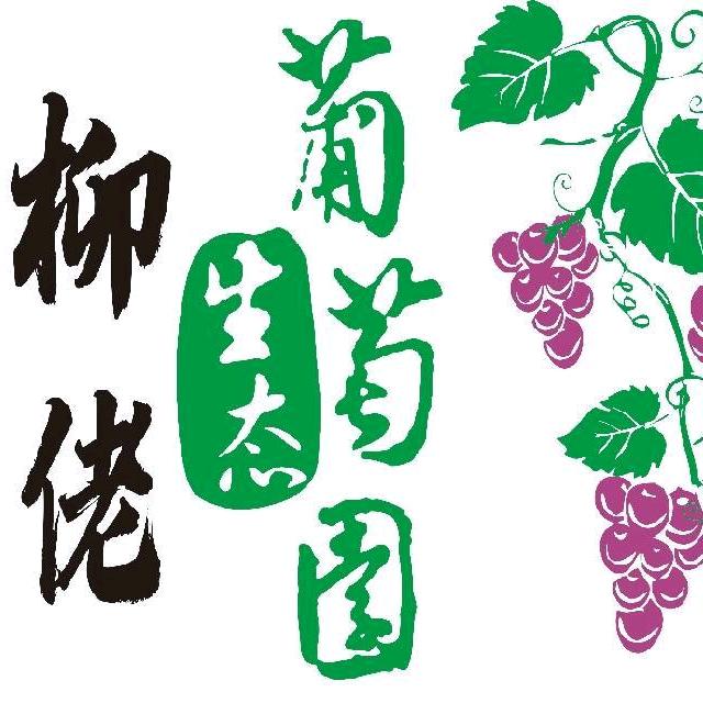 柳佬生态葡萄园