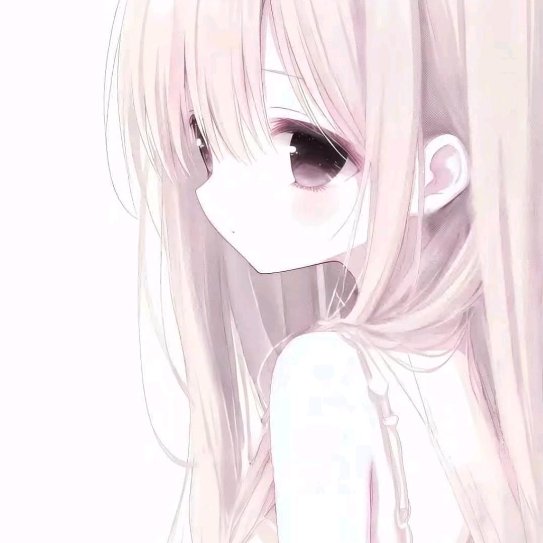 猫猫猫