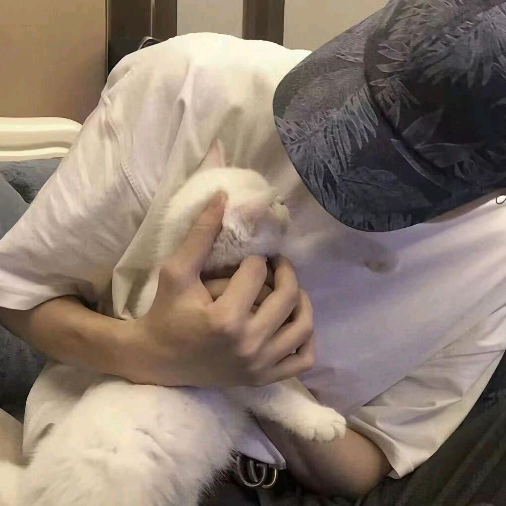独宠小娇妻