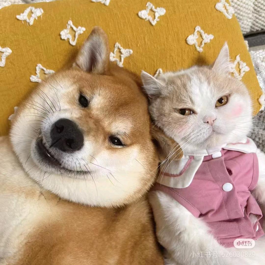 脑瓜疼