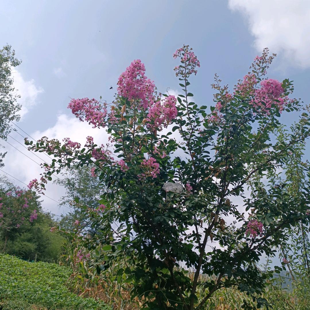 思念是无尽的路。💘