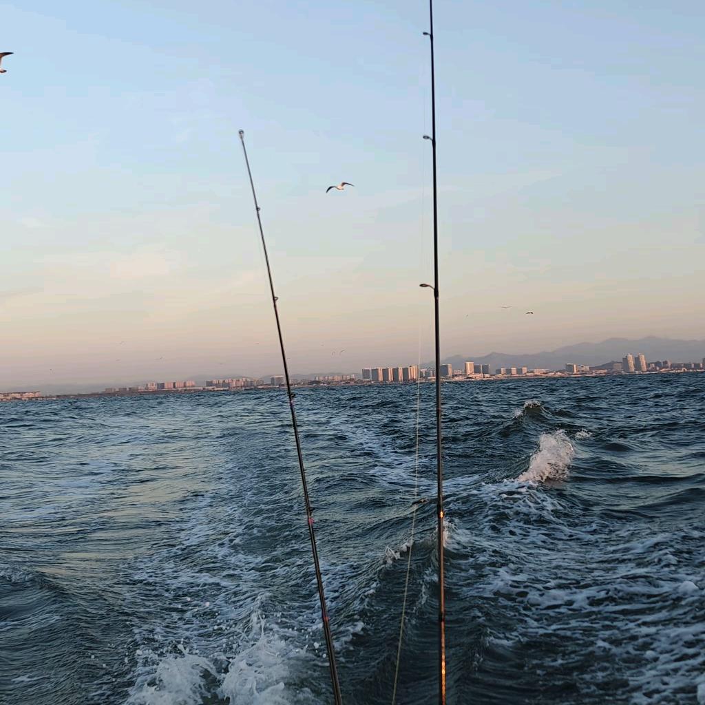 淡水生物研究爱好者