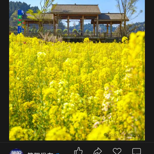 🌻心想🌼事陈🌹