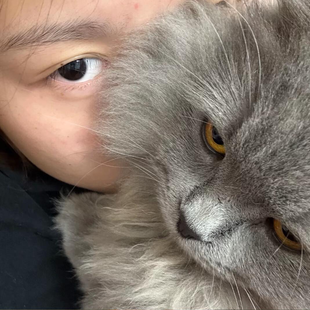 有点小猫病🧊