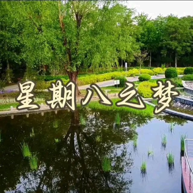 浮云1975