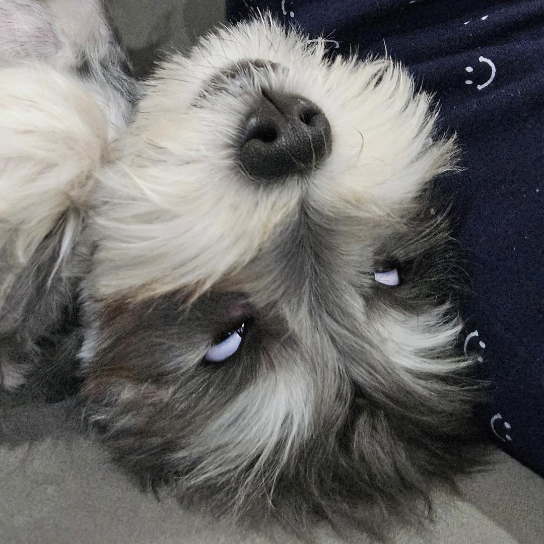 一个勺子