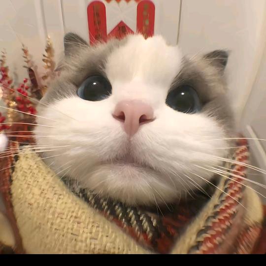 欣欣好物