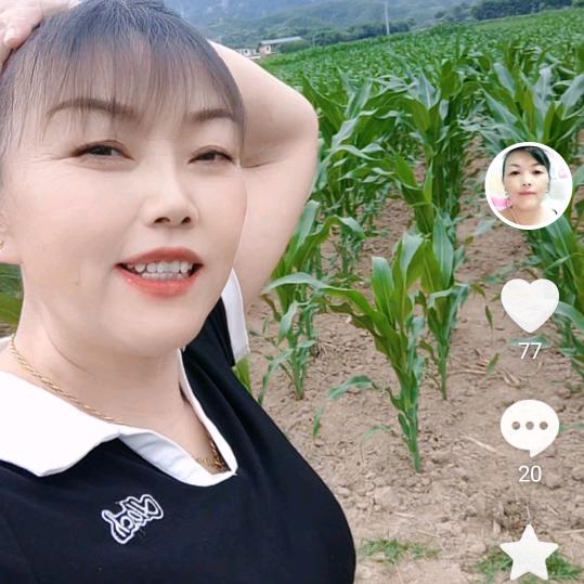 情缘《每天早上七点半开播》