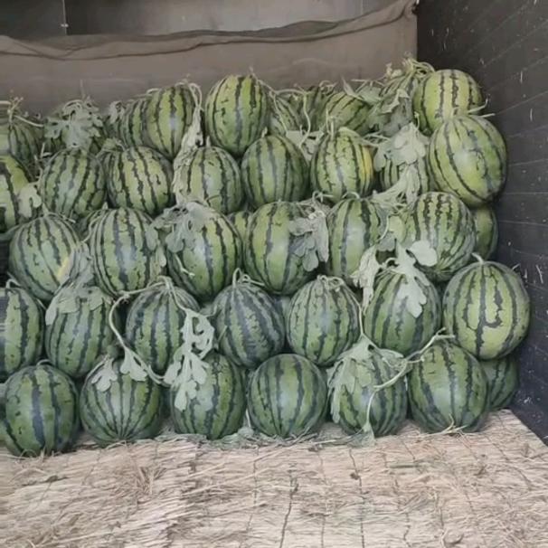 快乐的勇～♤♡♧♢