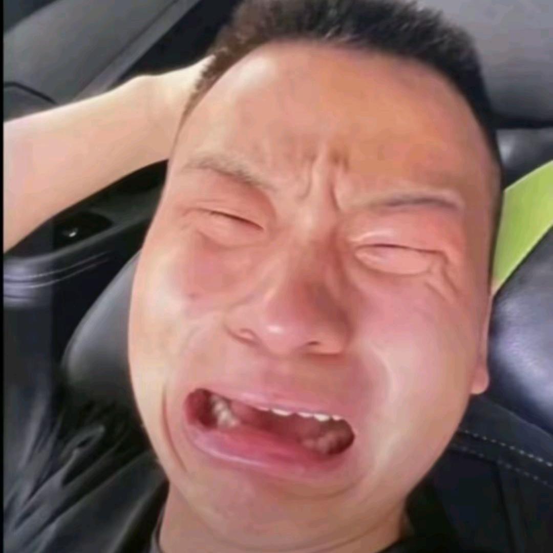孤雁南飞
