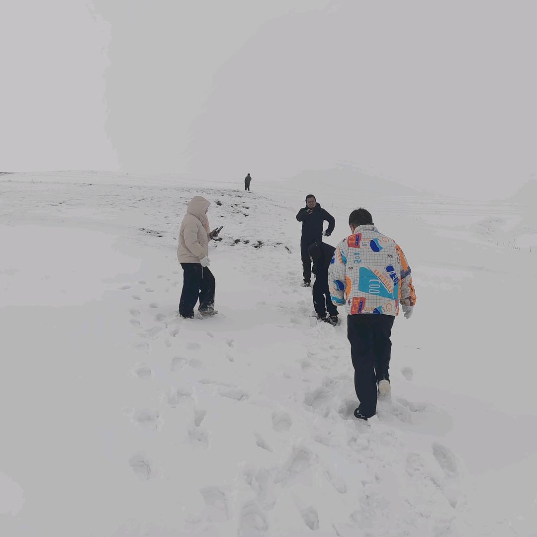 小李呀