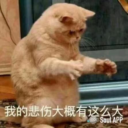 @钧仔