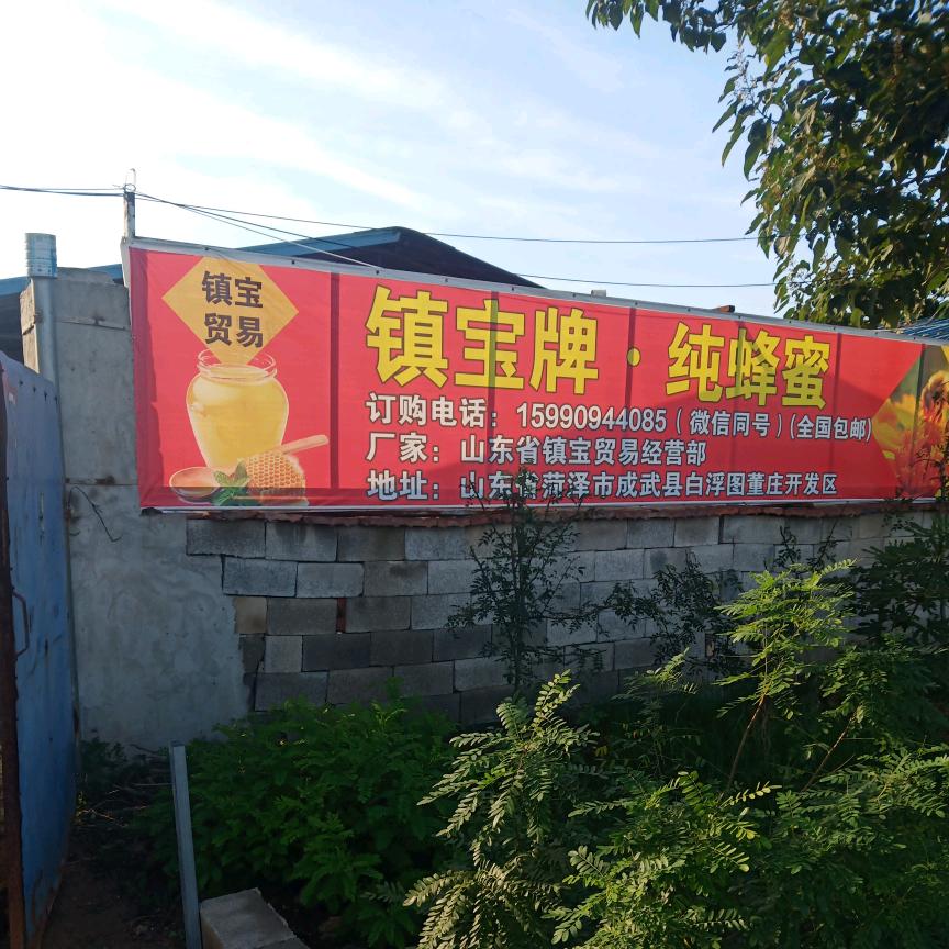 镇宝牌.纯蜂蜜