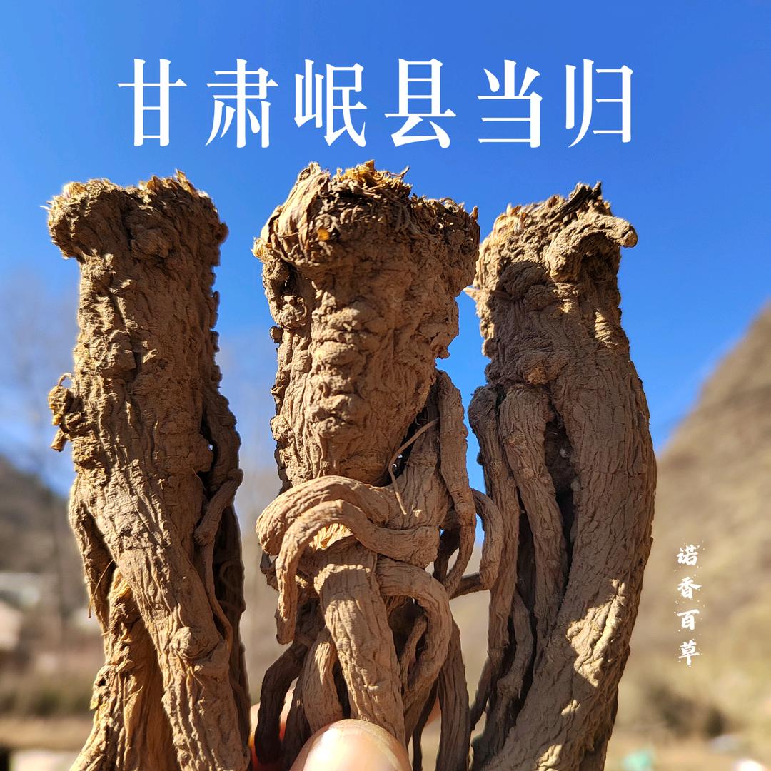 @陇草情滋补农副产品