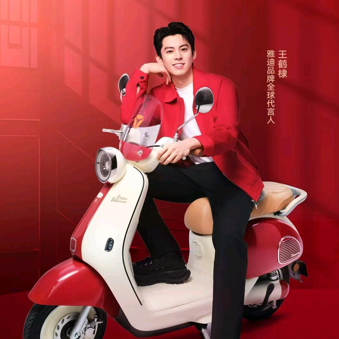 岢岚雅迪电动车