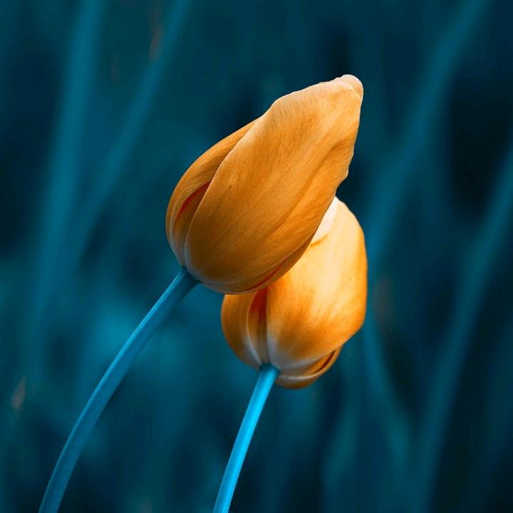 阳阳的可爱多呀