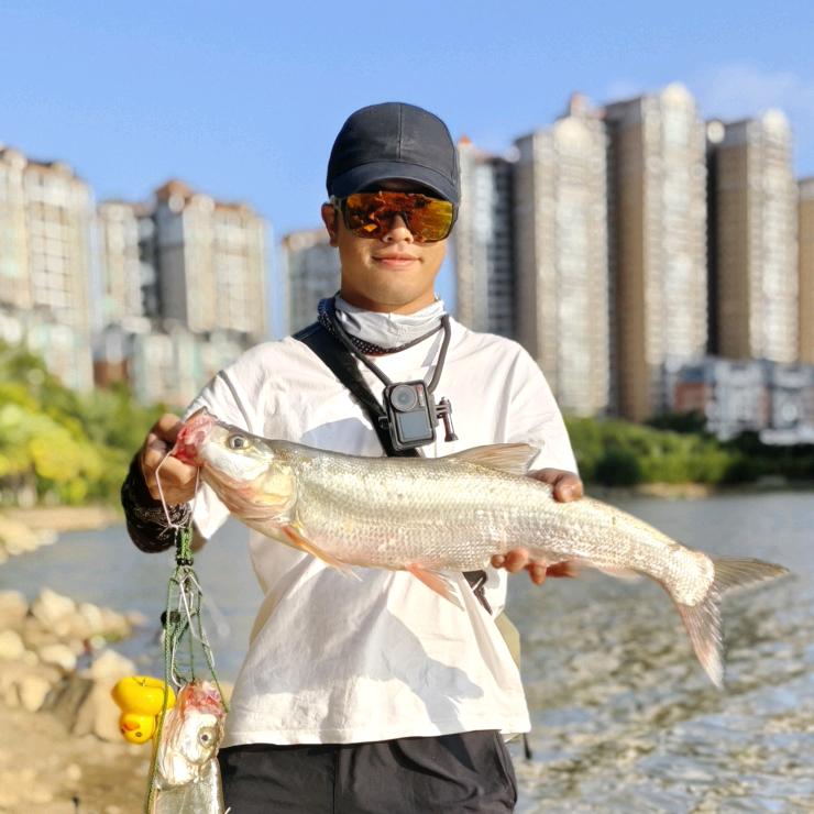 全岛铁片(路亚版）🎣