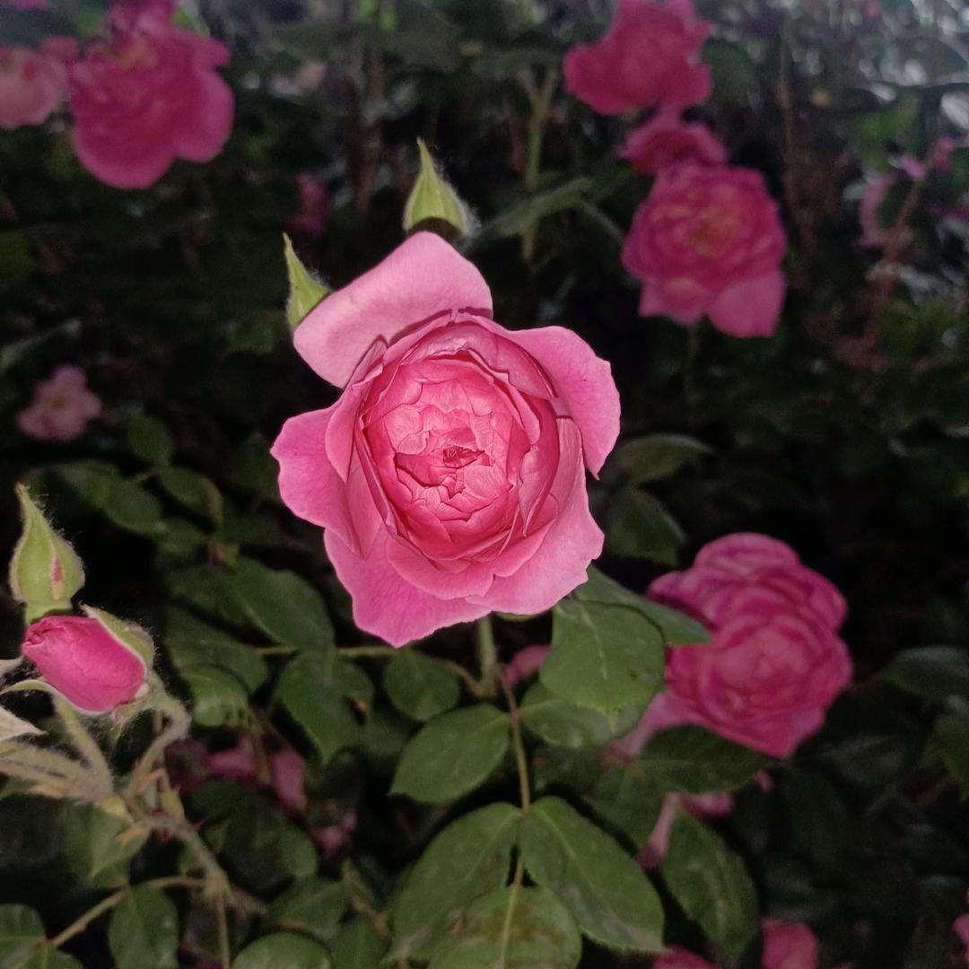心情123
