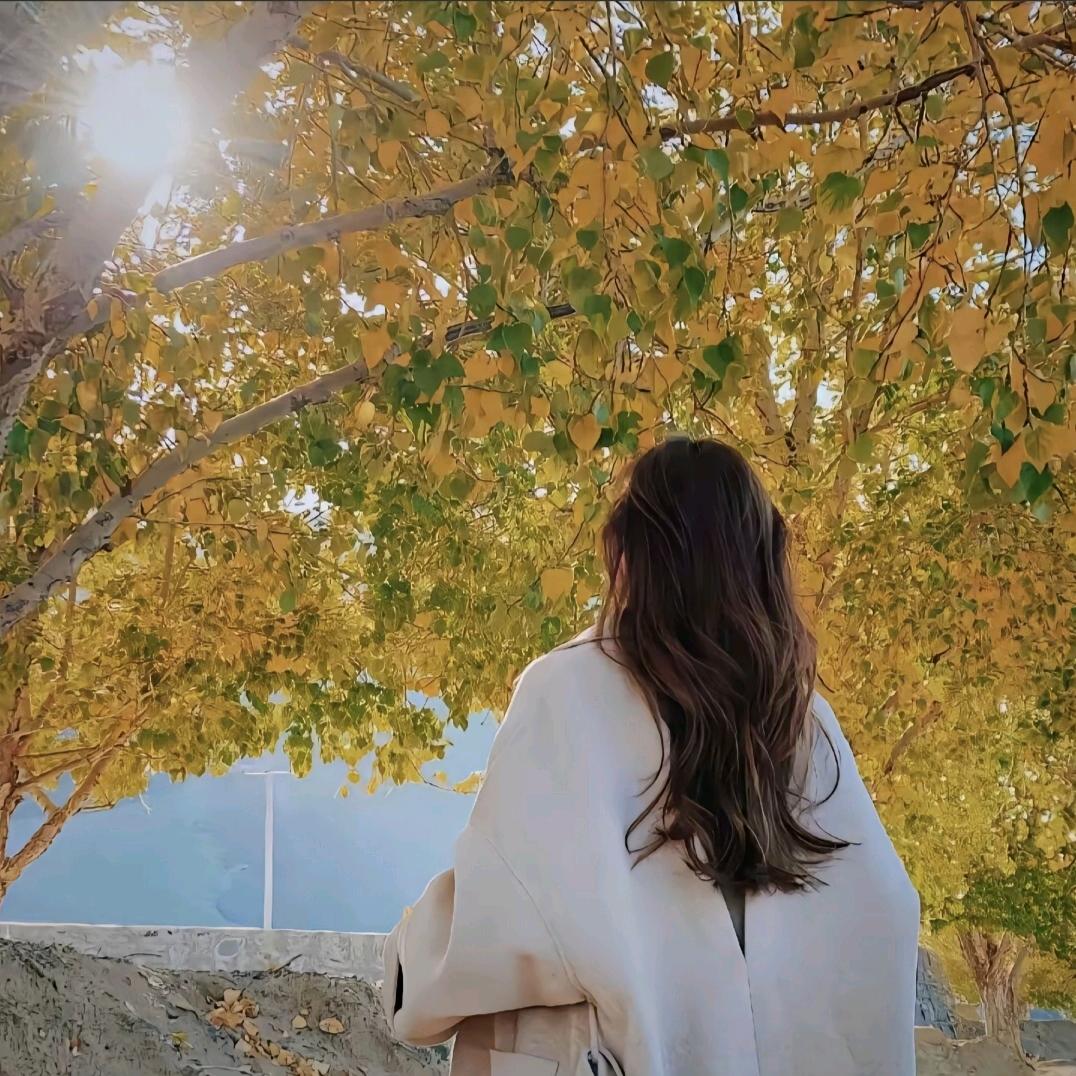 一个人在四川