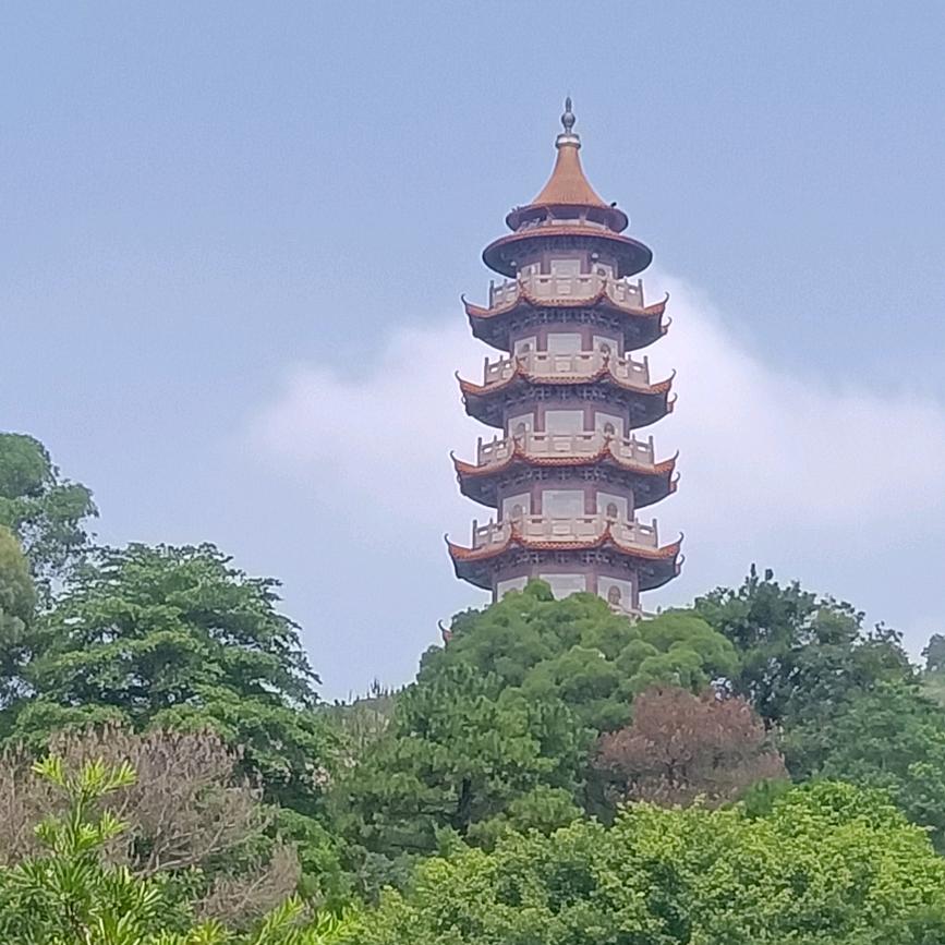 真心给错了人