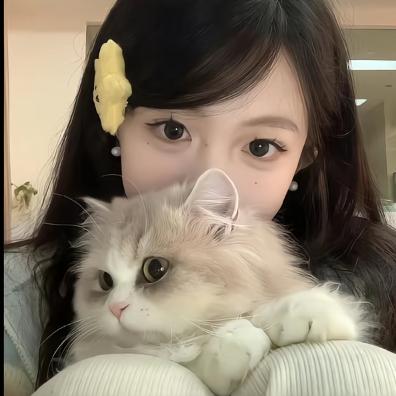 瑶瑶不迷路