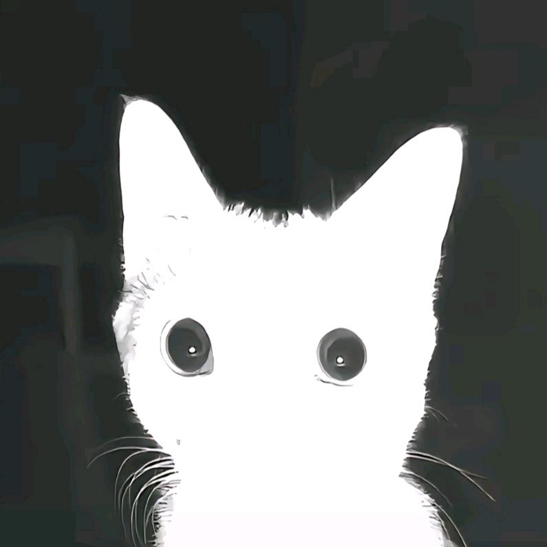 啊哈