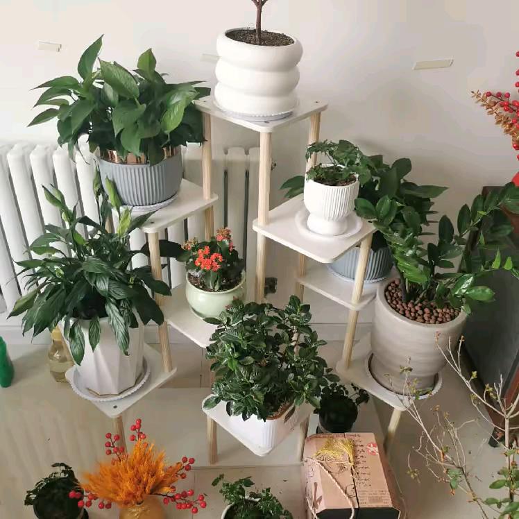 夏日炎炎要清凉