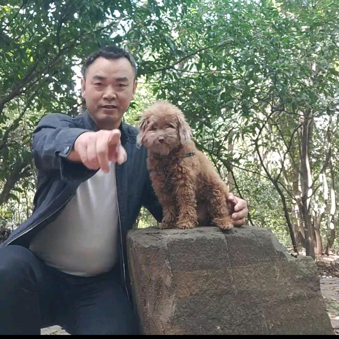 半周歌🎤