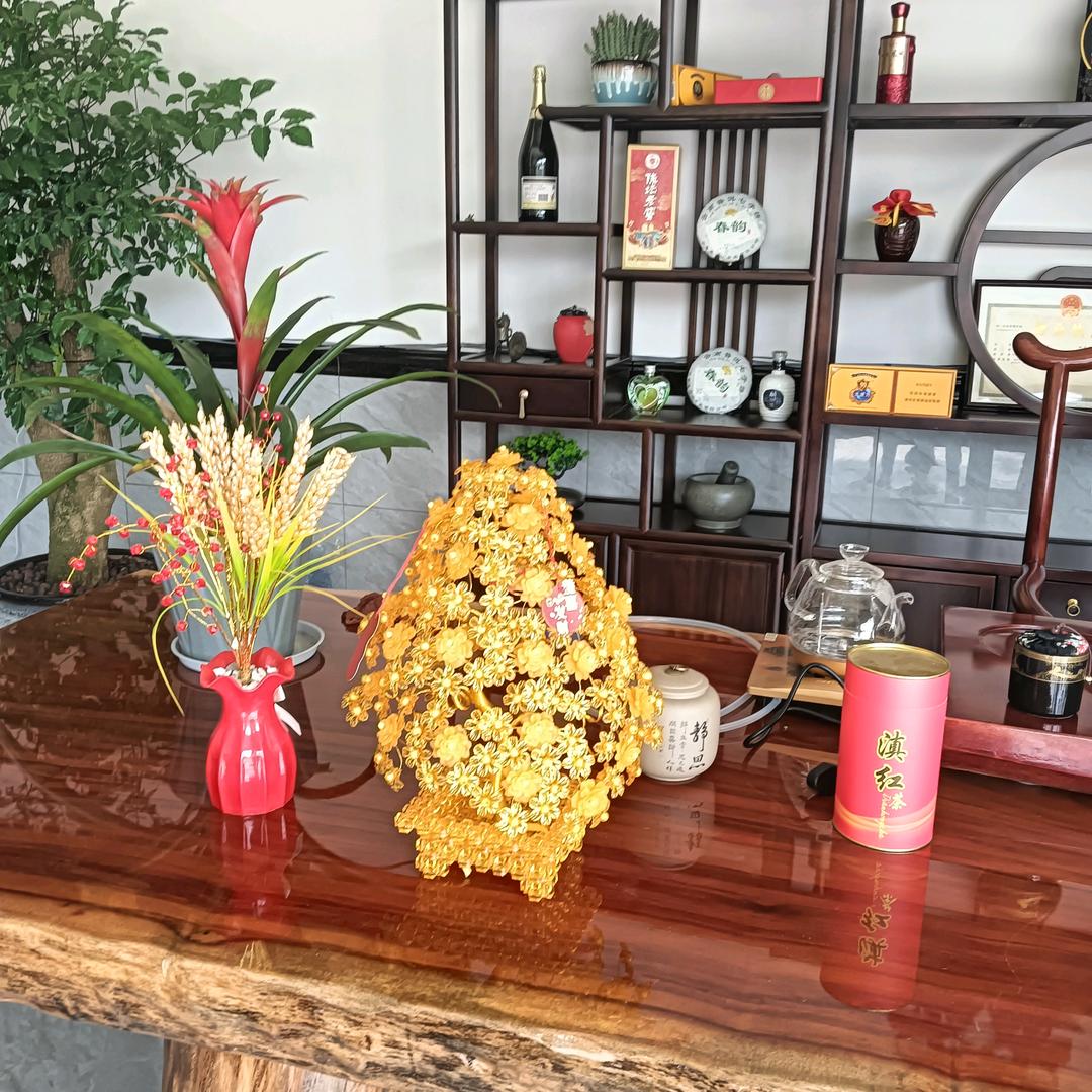 引缘林丽