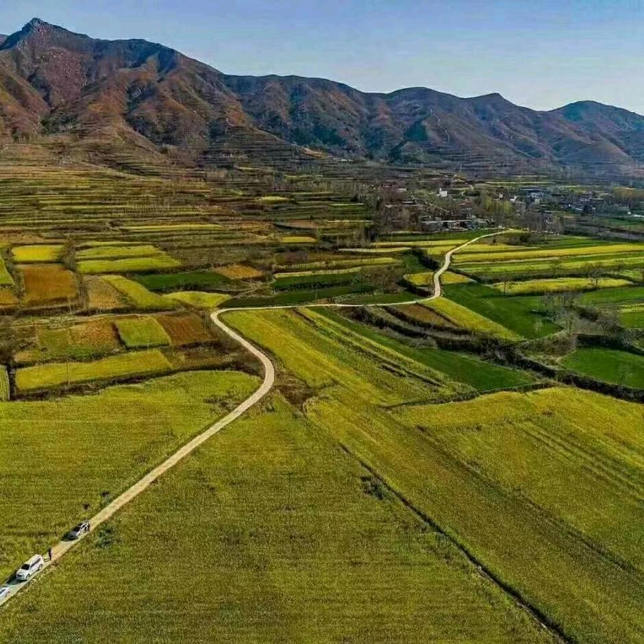 怡然是我🌺