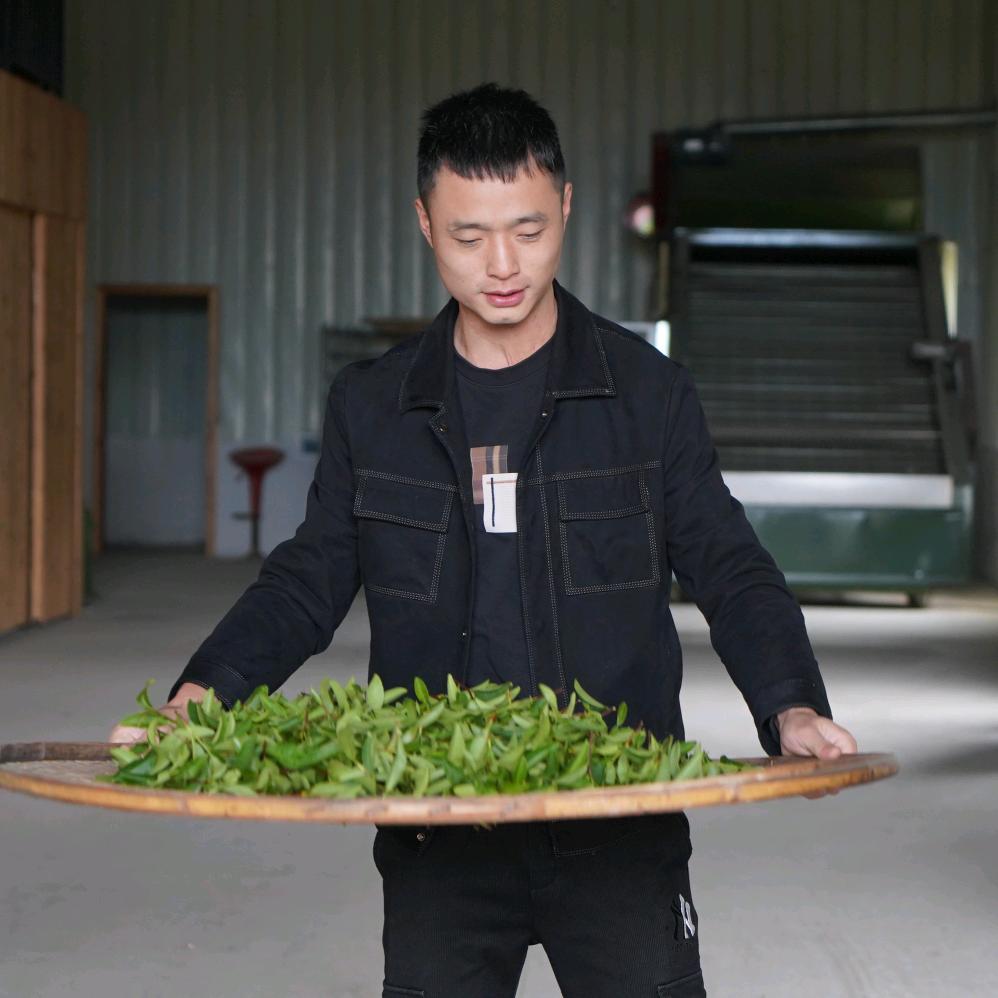 制茶人张金累(武夷岩茶)
