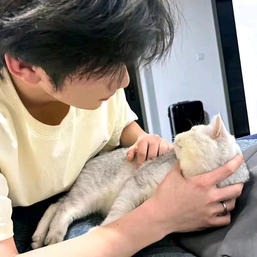 小航.