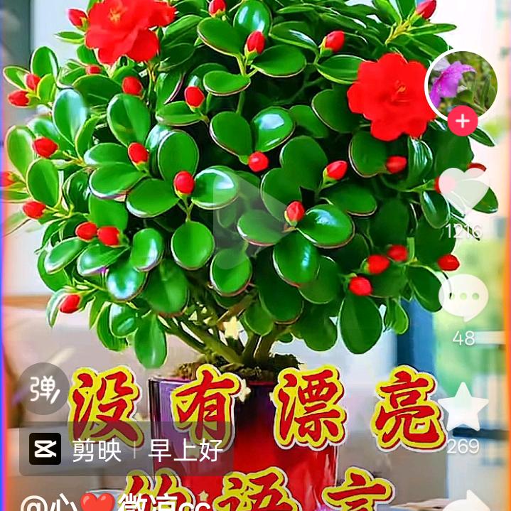 隆信