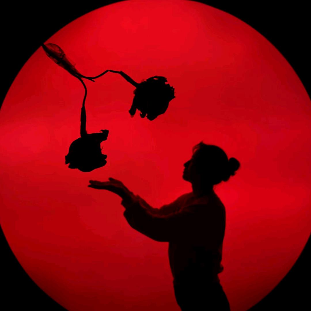 ღൢ 努尔比亚👩‍❤️‍👨