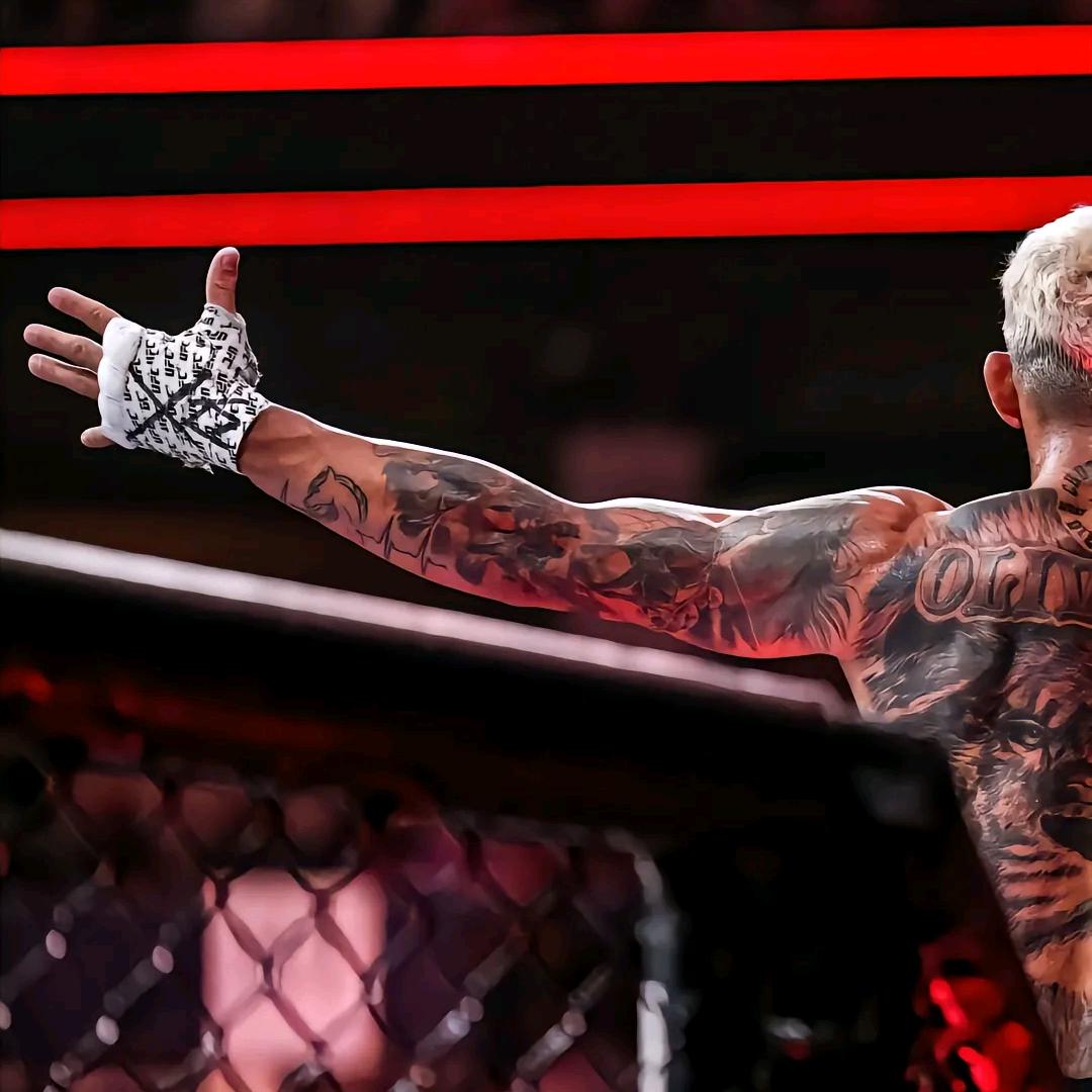 好久不见🇨🇳