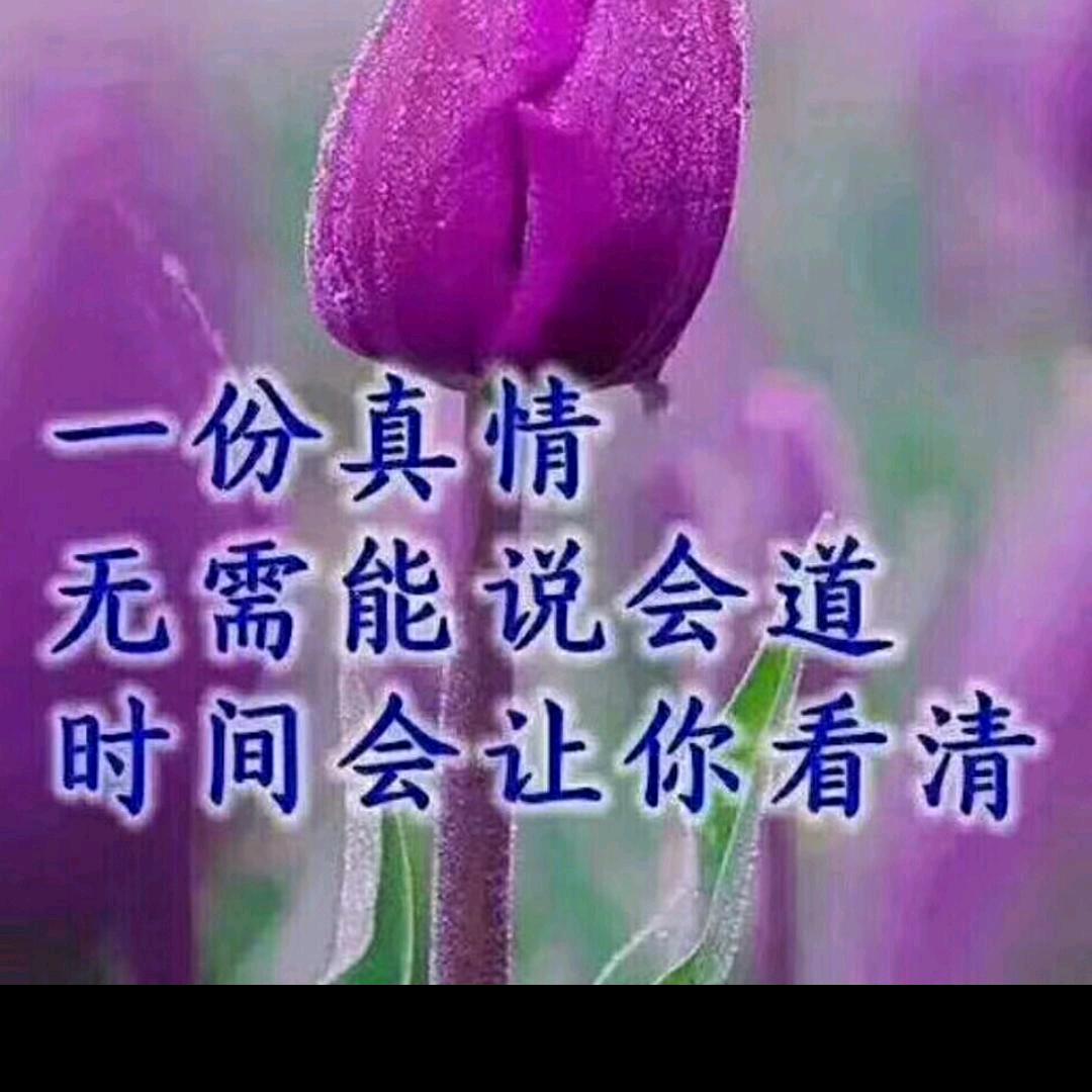 你永远不懂我爱你(=ＴェＴ=)挨骂