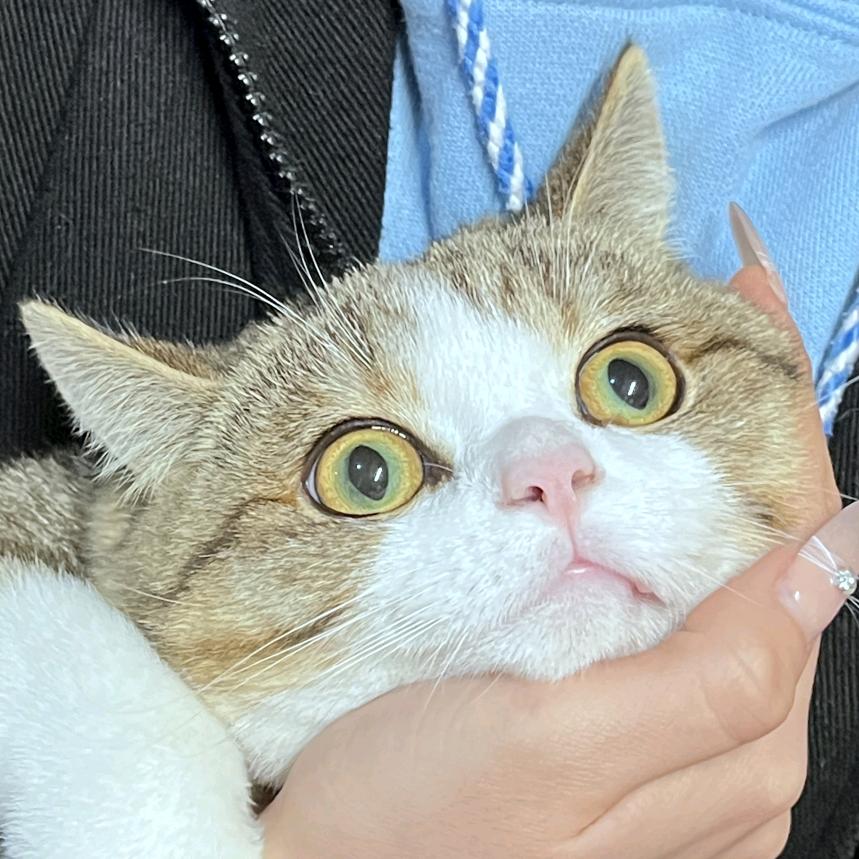 碳碳妈