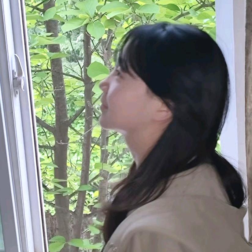 蛋卷