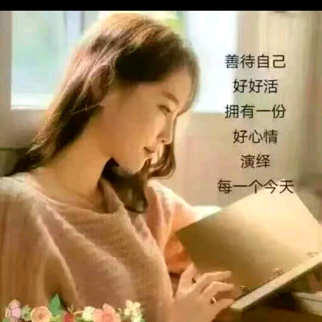 让心归宁
