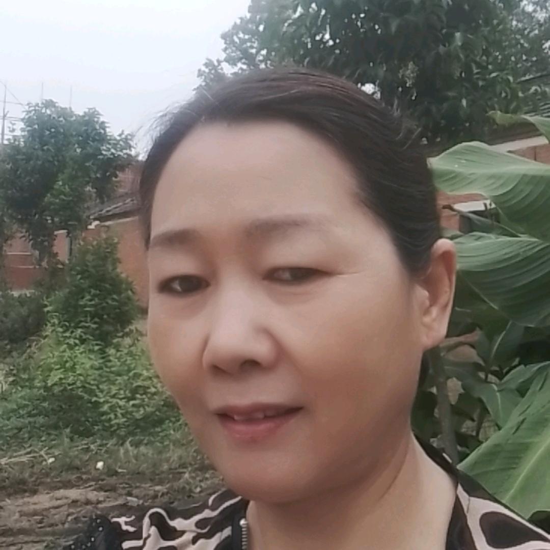 毛毛妈（首播中）